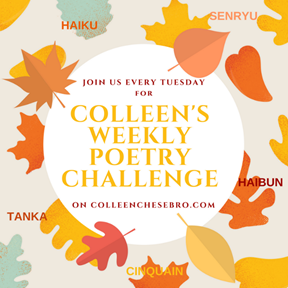 100917_1923_colleenswee7