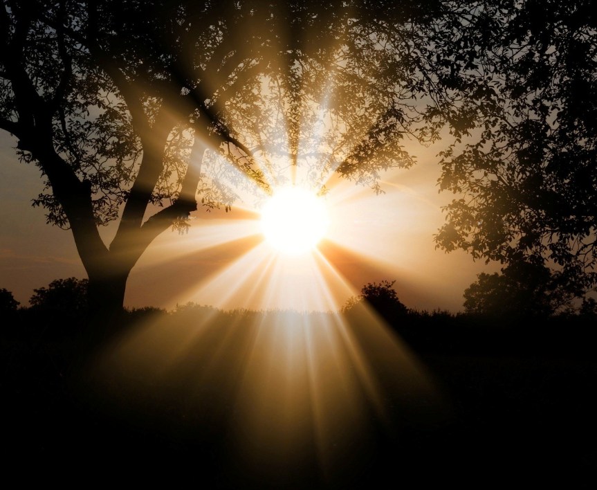 8 Ways to Uplift Your&nbsp;Energy