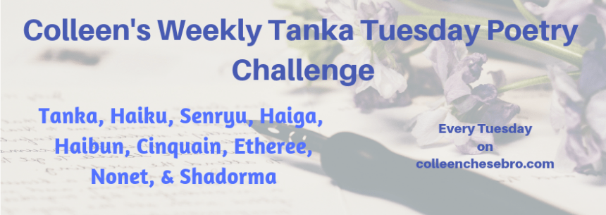 Colleen’s 2019 #Tanka Tuesday #Poetry Challenge Recap No. 128,&nbsp;#SynonymsOnly