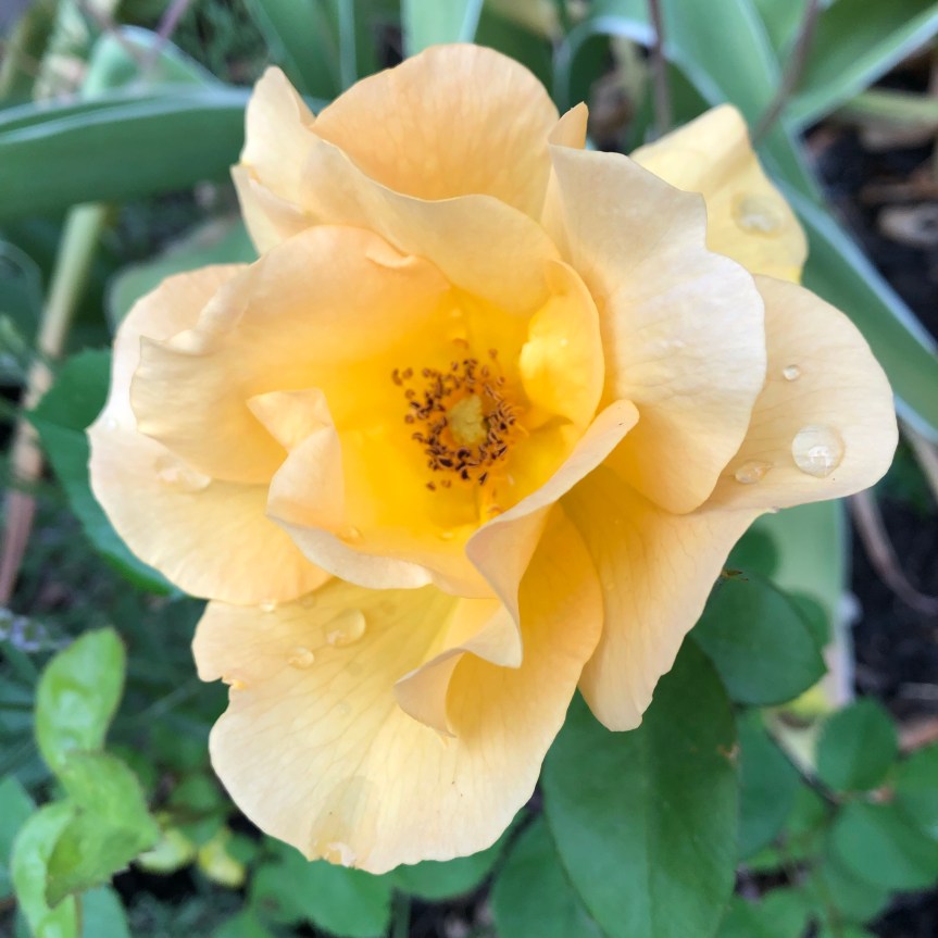 03/30 – it’s the little&nbsp;things