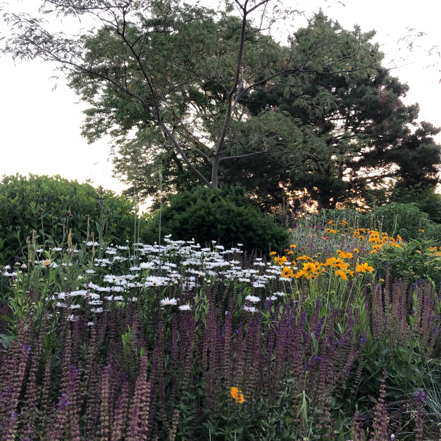 21/30 – it’s the little&nbsp;things